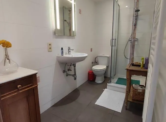 Pensjonat Au Rocher Dinant